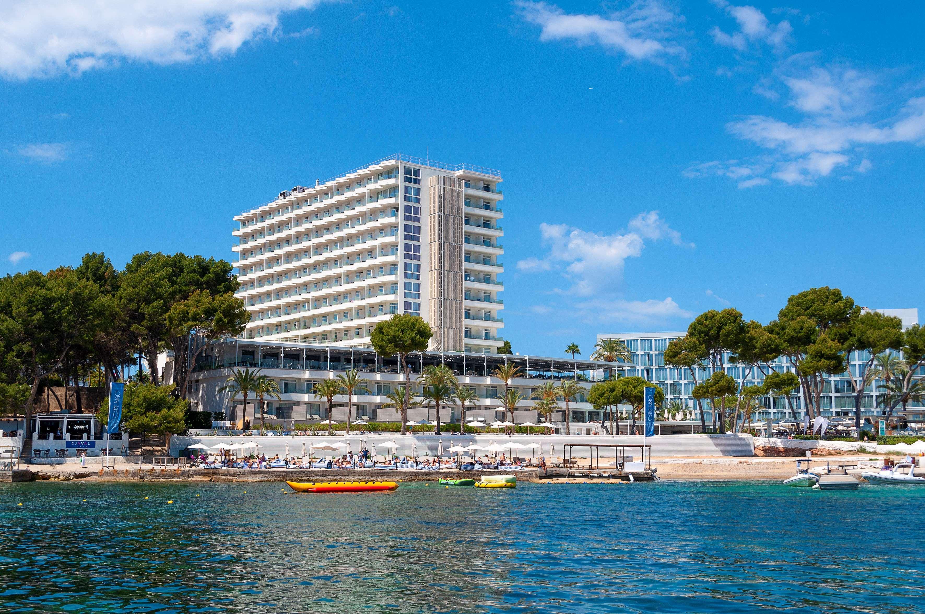 Melia Calvia